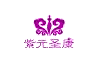紫元圣康品牌包裝LOGO設計